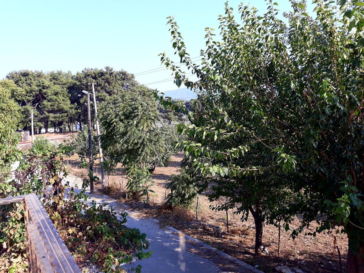 Can Efes Hotel Selçuk Exteriör bild